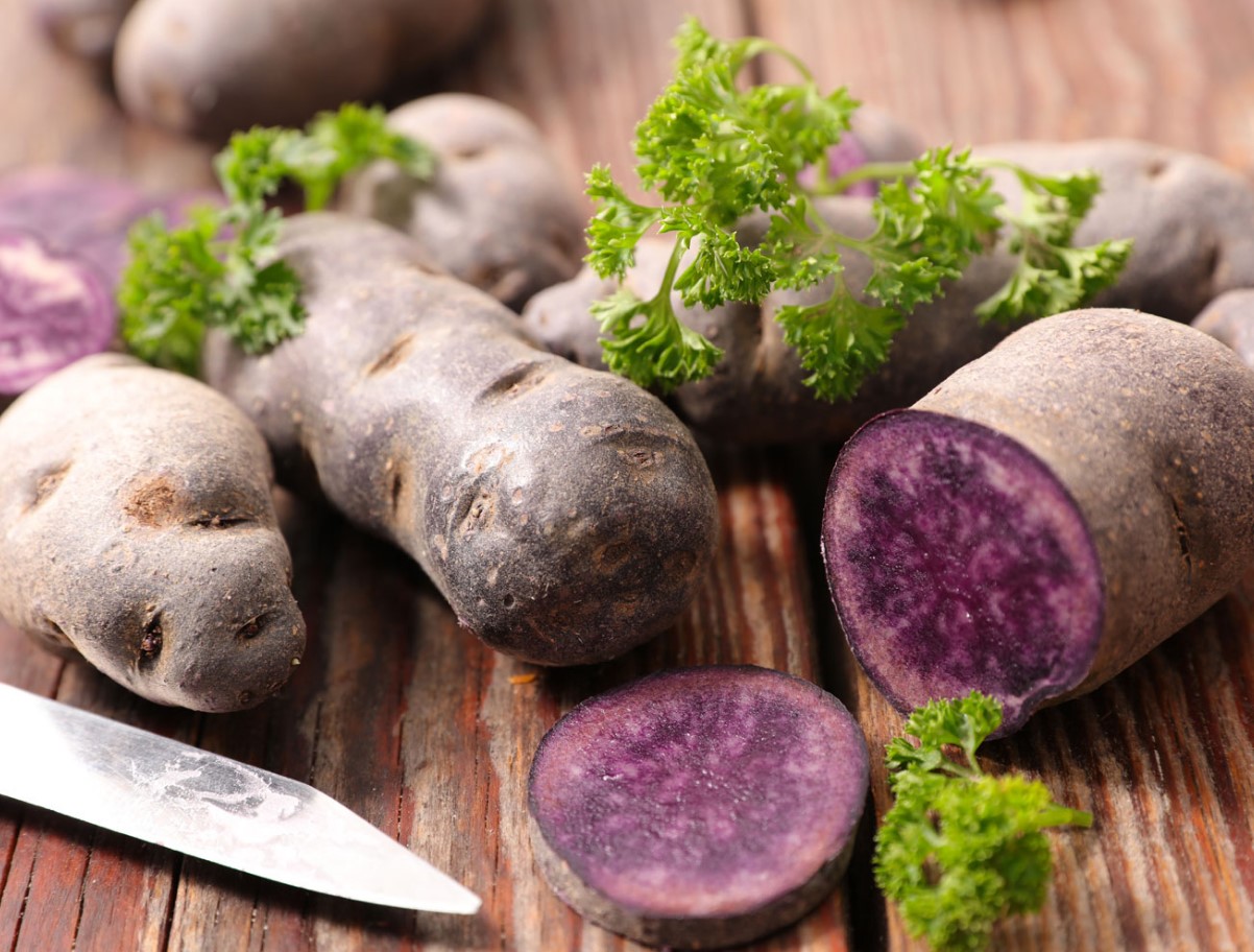 Poola kuningas Jan III Sobieski armastas neid. Need on antioksüdantide allikas, rikkad kaaliumi ja magneesiumiga ning alandavad vererõhku.