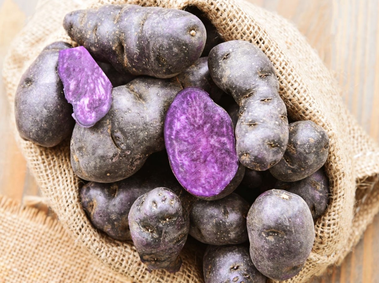 Poola kuningas Jan III Sobieski armastas neid. Need on antioksüdantide allikas, rikkad kaaliumi ja magneesiumiga ning alandavad vererõhku.