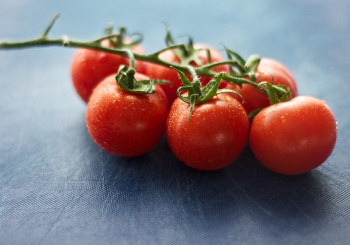Miks tomatid tuleks hoida toatemperatuuril: teaduslik selgitus