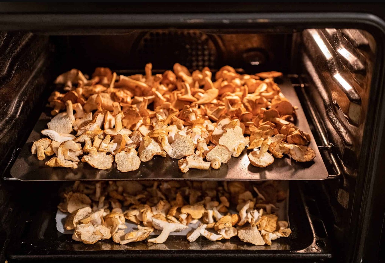 Neid seeni ei tohi kuivatada. Mõned neist on tõesti hämmastavad.