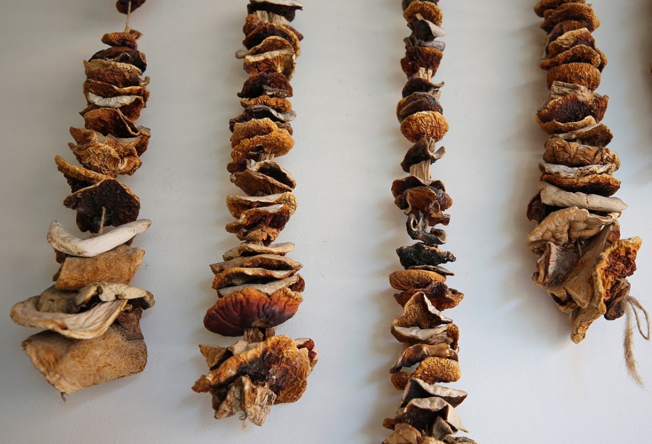 Neid seeni ei tohi kuivatada. Mõned neist on tõesti hämmastavad.