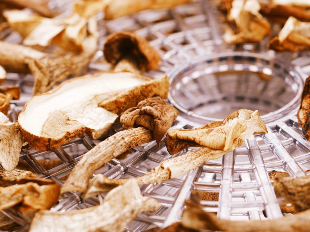 Neid seeni ei tohi kuivatada. Mõned neist on tõesti hämmastavad.